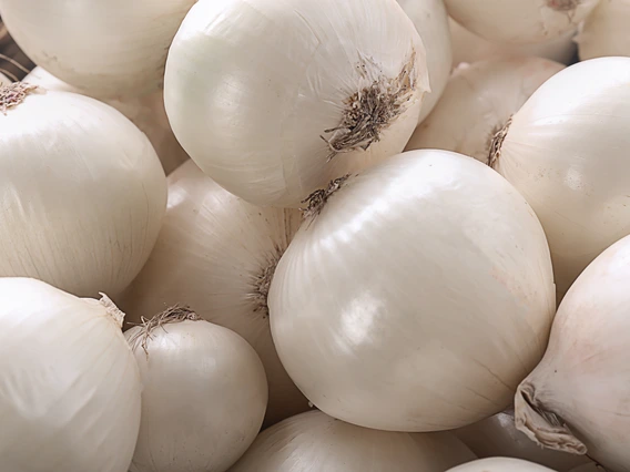 photo of onions
