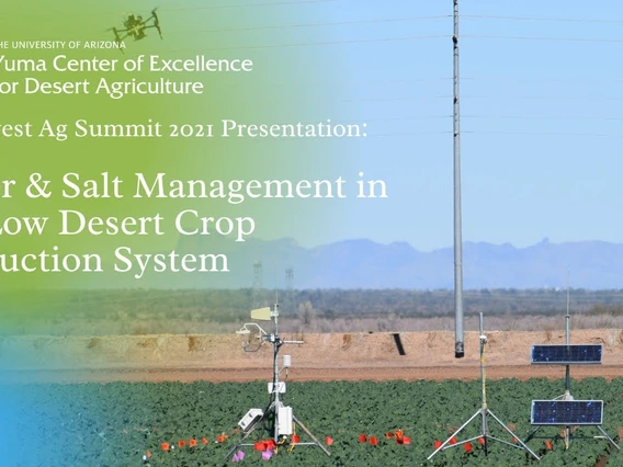Embedded thumbnail for 2021 Southwest Ag Summit: Water &amp; Salt Management in the Low Desert Crop Production System