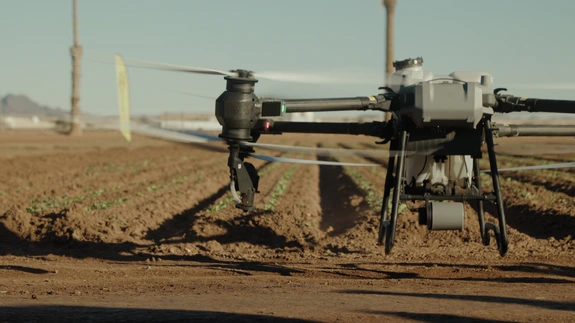 ag_tech_university_of_arizona_Yuma