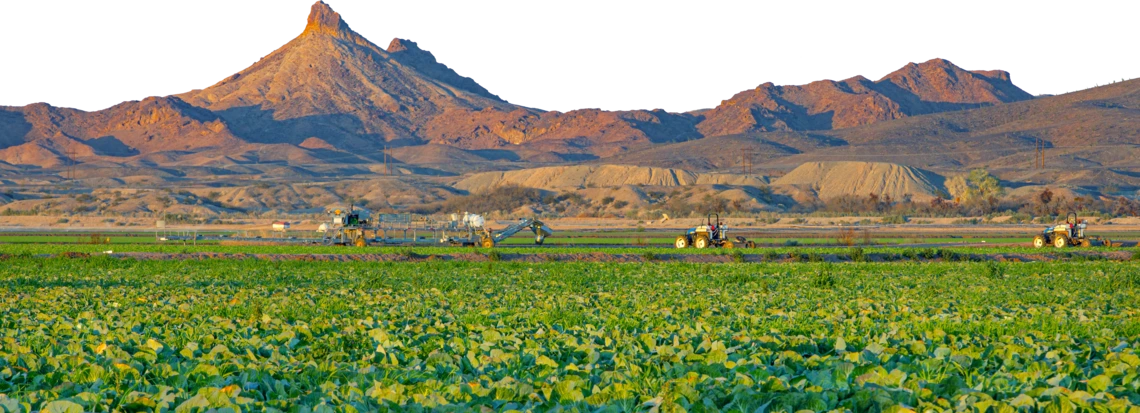 Yuma sunset