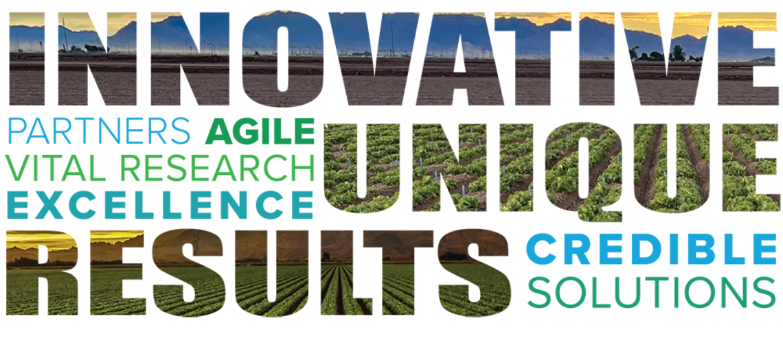 Innovative, partners, agile, vital, research, excellence, unique, results, credible, solutions