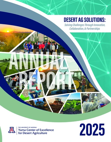 YCEDA 2025 Annual Report