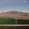 YCEDA Awarded grant
