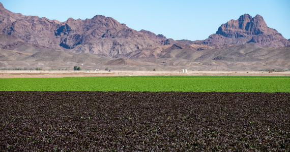Yuma, AZ
