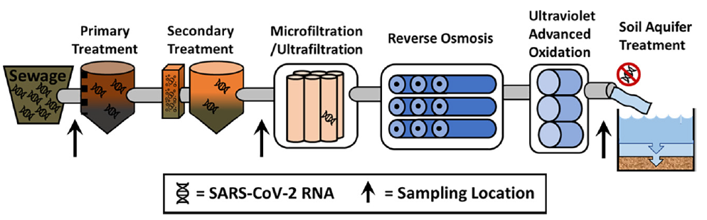 Sars-Cov-2 genetic material removed 