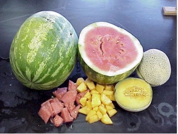 Cantaloupes and Watermelons