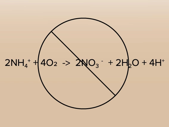 N stabilization Products