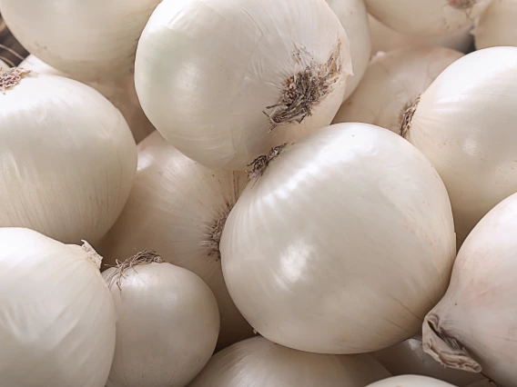photo of onions