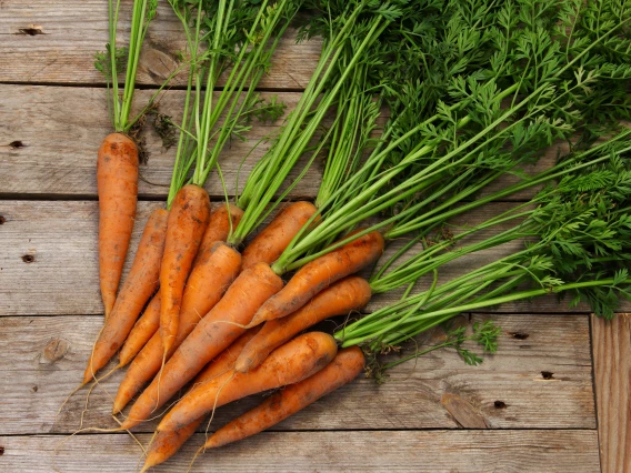carrots