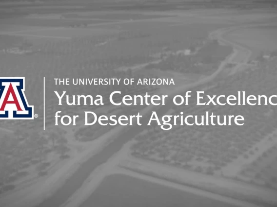 Embedded thumbnail for 2023 YCEDA Research Summary
