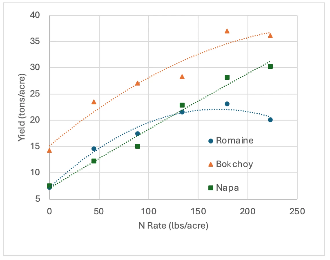 Figure 3-6-3. Yield of bok choy and Napa to N fertilizers compared to romaine lettuce in a field near Yuma. These data are the means of two cropping seasons in Yuma.