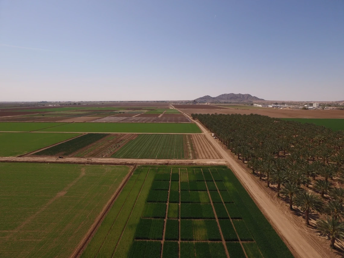 aerial view of agricultural area in Yuma, AZ