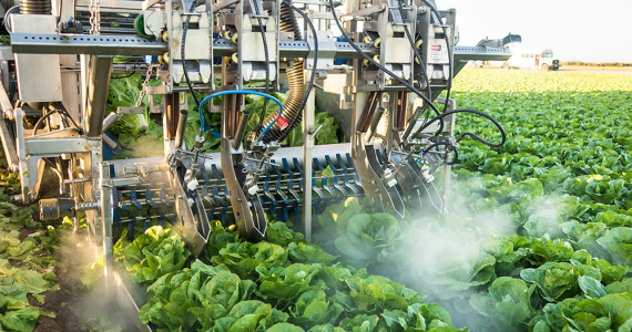 Technology & Mechanization