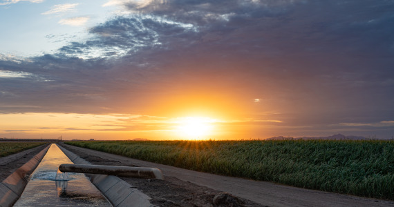 Yuma Sunset