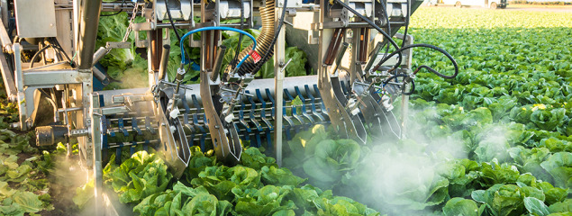 Technology & Mechanization