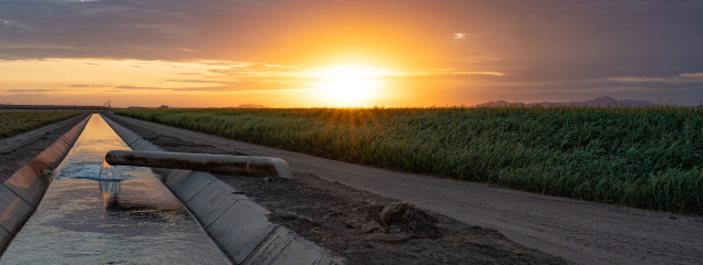 Yuma Sunset