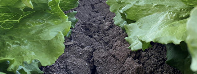 soil health